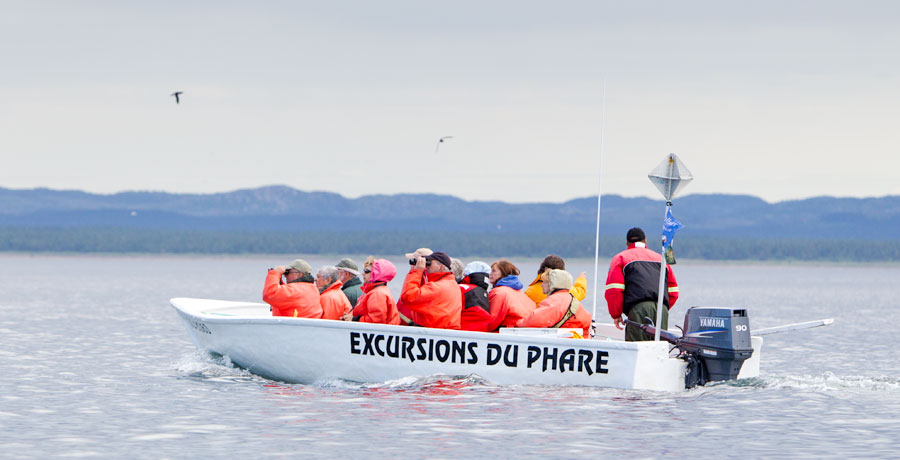 Excursions du Phare &agrave; Longue-Pointe-de-Mingan