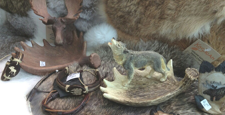 Activit&eacute;s &agrave; Mingan