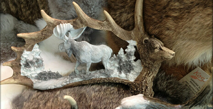 Activit&eacute;s &agrave; Mingan