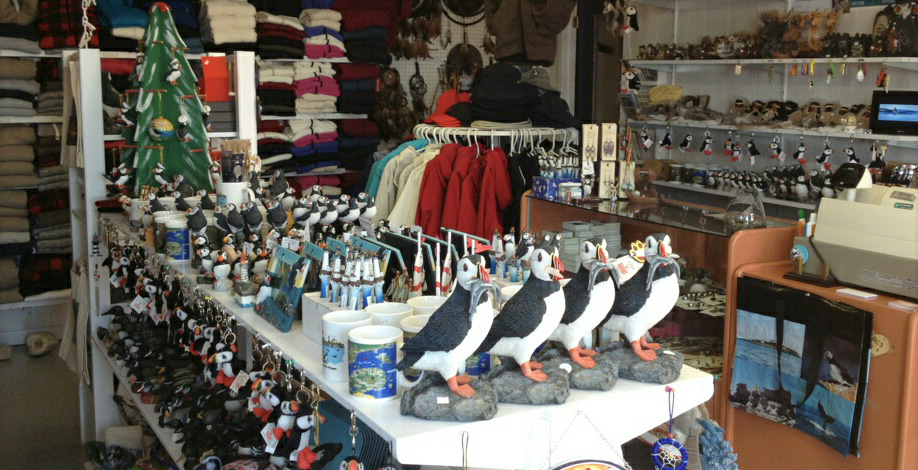 Activit&eacute;s &agrave; Mingan