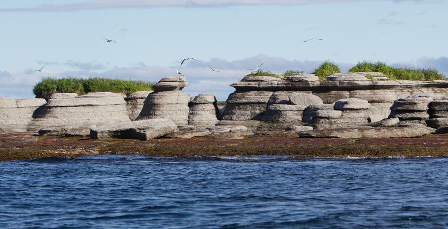 Activit&eacute;s &agrave; Mingan