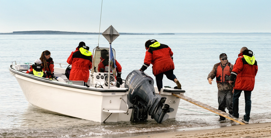 Excursions du Phare &agrave; Longue-Pointe-de-Mingan